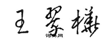 駱恆光王翠樺草書個性簽名怎么寫