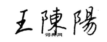 王正良王陳陽行書個性簽名怎么寫