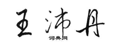 駱恆光王沛丹行書個性簽名怎么寫