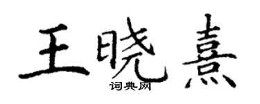 丁謙王曉熹楷書個性簽名怎么寫