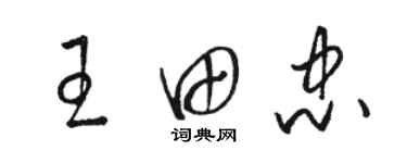 駱恆光王田忠草書個性簽名怎么寫