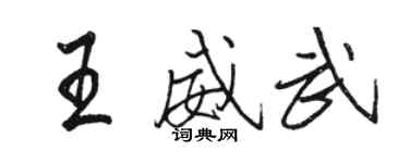 駱恆光王威武行書個性簽名怎么寫