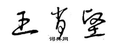 曾慶福王肖堅草書個性簽名怎么寫