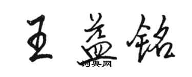 駱恆光王益銘行書個性簽名怎么寫