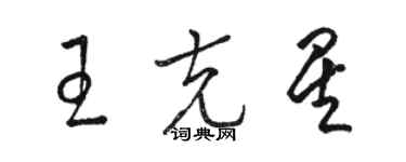 駱恆光王剋星草書個性簽名怎么寫