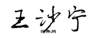 曾慶福王沙寧行書個性簽名怎么寫