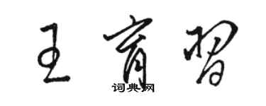 駱恆光王育習草書個性簽名怎么寫