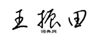 梁錦英王振田草書個性簽名怎么寫