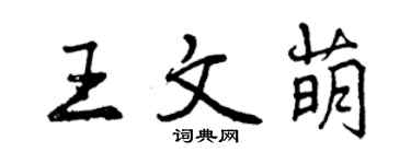 曾慶福王文萌行書個性簽名怎么寫