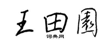 王正良王田園行書個性簽名怎么寫