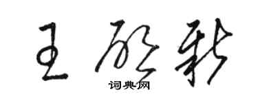 駱恆光王啟新草書個性簽名怎么寫