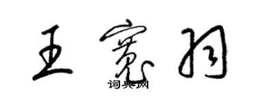 梁錦英王寬羽草書個性簽名怎么寫