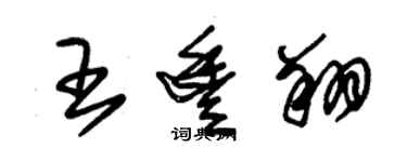 朱錫榮王豐翔草書個性簽名怎么寫