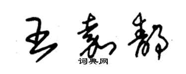 朱錫榮王嘉靜草書個性簽名怎么寫