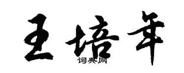 胡問遂王培年行書個性簽名怎么寫