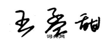 朱錫榮王孟甜草書個性簽名怎么寫