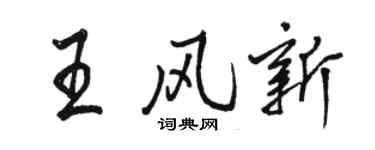 駱恆光王風新行書個性簽名怎么寫