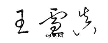 駱恆光王雪真草書個性簽名怎么寫