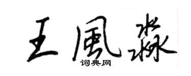 王正良王風淼行書個性簽名怎么寫
