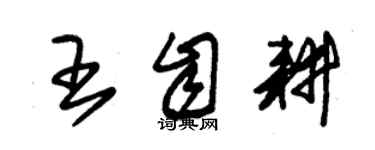 朱錫榮王自耕草書個性簽名怎么寫