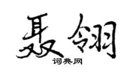 曾慶福聶翎行書個性簽名怎么寫