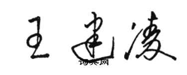 駱恆光王建凌草書個性簽名怎么寫