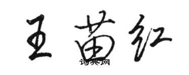 駱恆光王苗紅行書個性簽名怎么寫