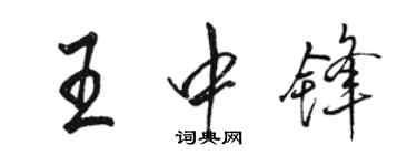 駱恆光王中鋒行書個性簽名怎么寫