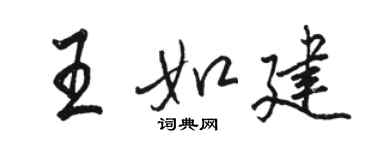 駱恆光王如建行書個性簽名怎么寫