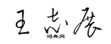 駱恆光王志展草書個性簽名怎么寫