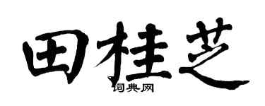翁闓運田桂芝楷書個性簽名怎么寫