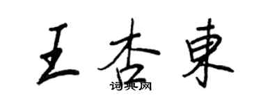 王正良王杏東行書個性簽名怎么寫
