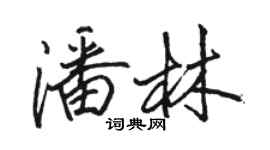 駱恆光潘林行書個性簽名怎么寫