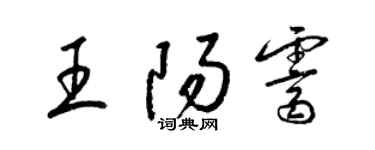 梁錦英王陽霽草書個性簽名怎么寫