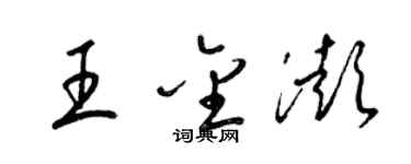 梁錦英王金澎草書個性簽名怎么寫