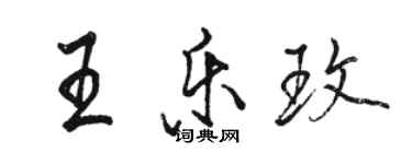 駱恆光王樂玫行書個性簽名怎么寫