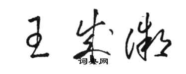 駱恆光王成微草書個性簽名怎么寫