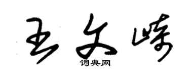 朱錫榮王文崎草書個性簽名怎么寫