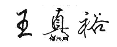 駱恆光王真裕行書個性簽名怎么寫