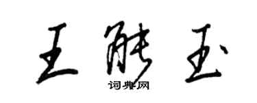 王正良王能玉行書個性簽名怎么寫