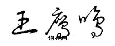 曾慶福王鷹鳴草書個性簽名怎么寫