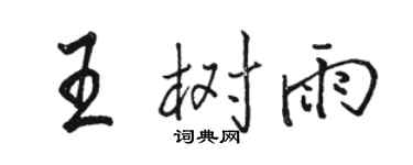 駱恆光王樹雨行書個性簽名怎么寫