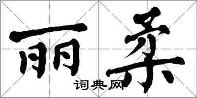 翁闓運麗柔楷書怎么寫