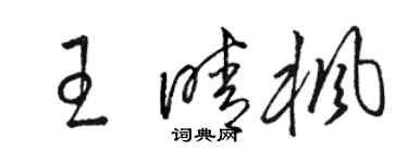駱恆光王晴楓草書個性簽名怎么寫
