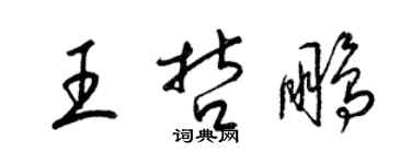 梁錦英王哲鵬草書個性簽名怎么寫