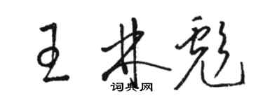 駱恆光王林彪草書個性簽名怎么寫