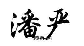 胡問遂潘嚴行書個性簽名怎么寫