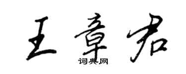 王正良王章君行書個性簽名怎么寫