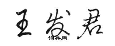 駱恆光王發君行書個性簽名怎么寫