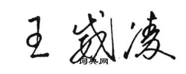 駱恆光王威凌草書個性簽名怎么寫